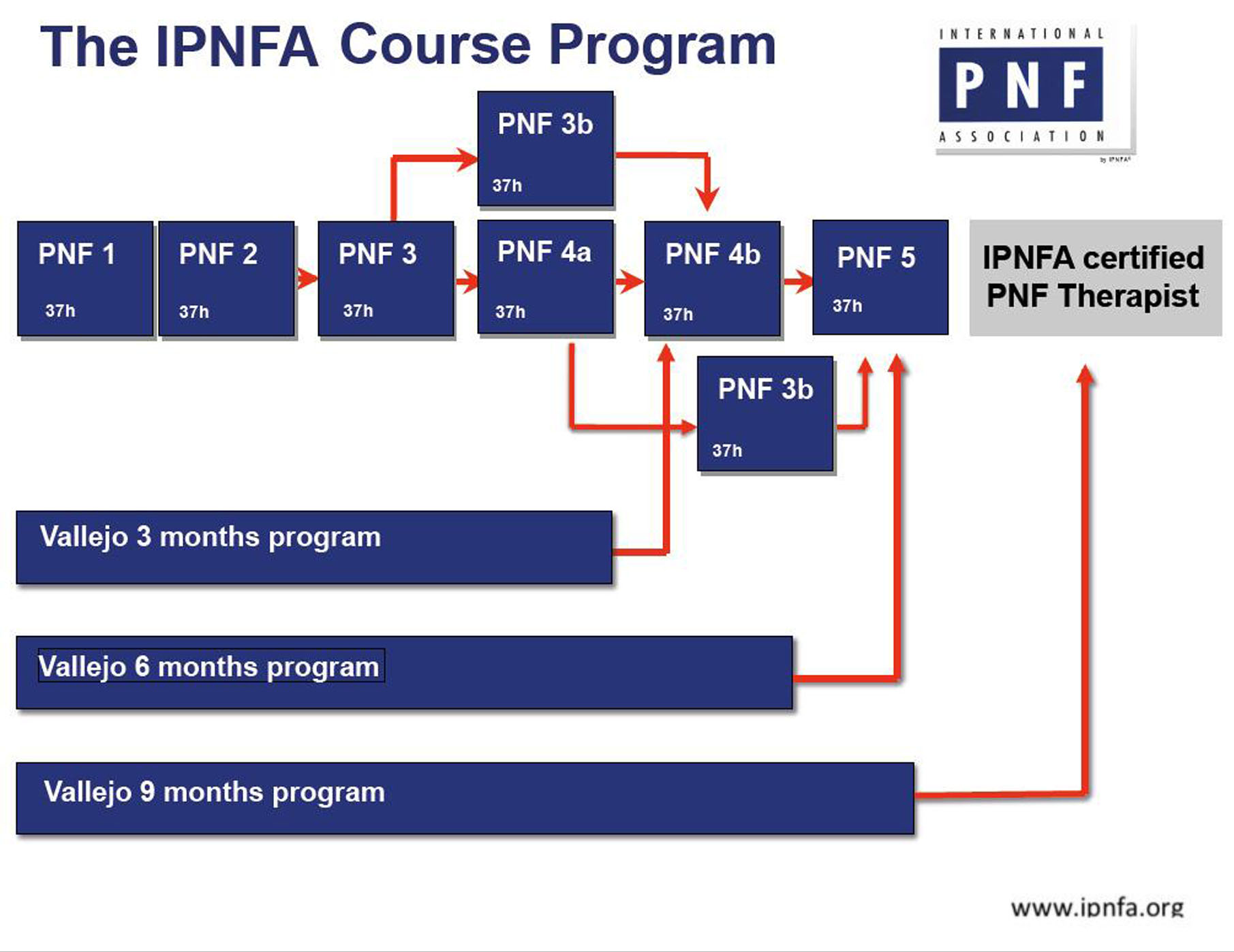 IPNFA Képzési Rendszer